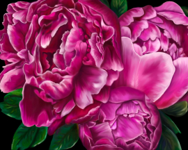 Алмазная мозаика на подрамнике 40х50 - Алмазная мозаика на подрамнике 40х50