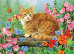 Кот на заборе