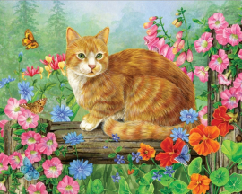 Кот на заборе - Кот на заборе