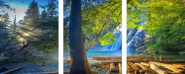 Картины по номерам 40x50 - Триптихи - Утро в лесу - Картины по номерам 40x50 - Триптихи - Утро в лесу