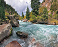 Алмазная мозаика круглыми стразами 40x50: Алмазная мозаика на подрамнике 40х50