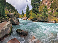 Алмазная мозаика на подрамнике 40х50