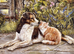 Пёс и кот