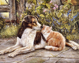 Пёс и кот - Пёс и кот