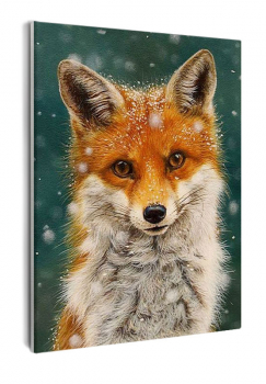 Картина по номерам на холсте и подрамнике 40х50 см