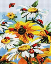 Алмазные мозаики 40x50 - GF1012 - Алмазные мозаики 40x50 - GF1012