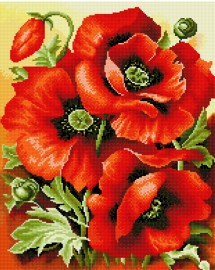 Алмазные мозаики 40x50 - Яркие маки - Алмазные мозаики 40x50 - Яркие маки