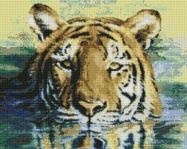 Алмазные мозаики 40x50 - GF137 - Алмазные мозаики 40x50 - GF137