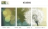 Триптихи 40x50 - Одуванчик - Триптихи 40x50 - Одуванчик