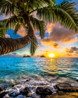 Картины по номерам 40х50: Картина по номерам на холсте и подрамнике 40х50 см