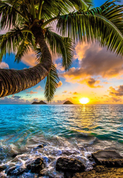 Картина по номерам на холсте и подрамнике 40х50 см