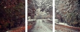 Триптихи 40x50 - Смена сезона - Триптихи 40x50 - Смена сезона