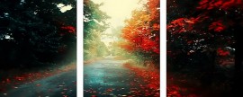 Триптихи 40x50 - Осенняя дорога - Триптихи 40x50 - Осенняя дорога