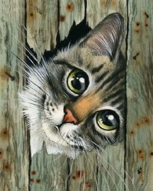 Алмазная мозаика на подрамнике 40х50 - Алмазная мозаика на подрамнике 40х50