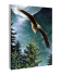 Картина по номерам на холсте и подрамнике 40х50 см - Картина по номерам на холсте и подрамнике 40х50 см