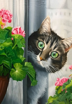 Удивленный кот
