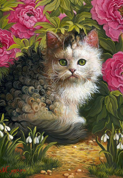 Маленький котенок