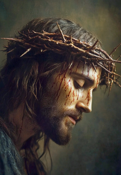 Картина по номерам на холсте и подрамнике 40х50 см