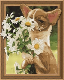 Алмазная мозаика 3D 40x50 - TSGJ1107 - Алмазная мозаика 3D 40x50 - TSGJ1107