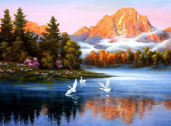 Лебеди на реке