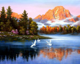 Лебеди на реке - Лебеди на реке