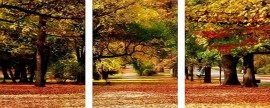 Триптихи 40x50 - Осенняя аллея - Триптихи 40x50 - Осенняя аллея