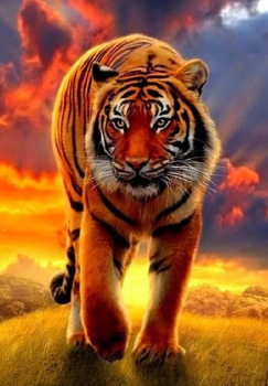 Алмазная мозаика на подрамнике 40х50