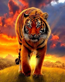 Алмазная мозаика на подрамнике 40х50 - Алмазная мозаика на подрамнике 40х50