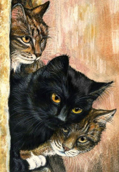Три кота
