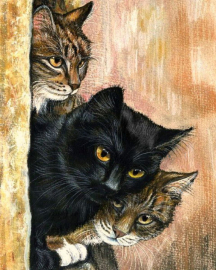 Три кота - Три кота