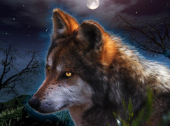 Алмазная мозаика на подрамнике 40х50