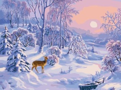 колорнумберс картины по номерам