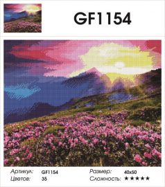 GF1154 - GF1154