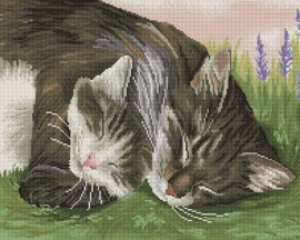 Алмазные мозаики 40x50 - GF768 - Алмазные мозаики 40x50 - GF768