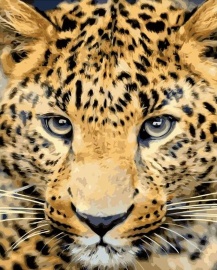 Картина по номерам на холсте и подрамнике 40х50 см - Картина по номерам на холсте и подрамнике 40х50 см