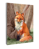 Картины по номерам 40х50: Картина по номерам на холсте и подрамнике 40х50 см