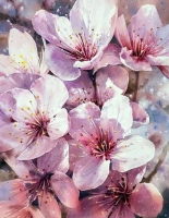 Картины по номерам 40х50: Картина по номерам на холсте и подрамнике 40х50 см