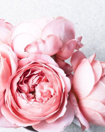 Картина по номерам на холсте и подрамнике 40х50 см - Картина по номерам на холсте и подрамнике 40х50 см