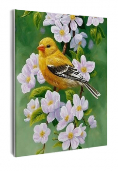 Картина по номерам на холсте и подрамнике 40х50 см