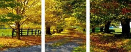 Триптихи 40x50 - Краски осени - Триптихи 40x50 - Краски осени