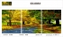 Триптихи 40x50 - Краски осени - Триптихи 40x50 - Краски осени