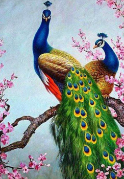 Алмазная мозаика на подрамнике 40х50