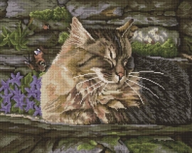Алмазные мозаики 40x50 - GF774 - Алмазные мозаики 40x50 - GF774
