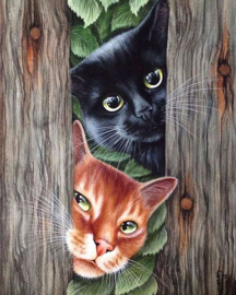 Чёрный и рыжий коты - Чёрный и рыжий коты