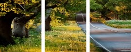 Триптихи 40x50 - Трасса - Триптихи 40x50 - Трасса