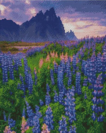 Сиреневое поле - Сиреневое поле