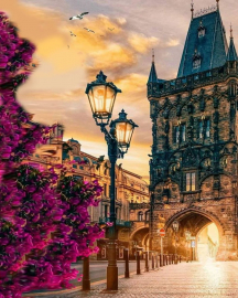 Картина по номерам на холсте и подрамнике 40х50 см - Картина по номерам на холсте и подрамнике 40х50 см