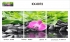 Триптихи 40x50 - KX-0072 - Триптихи 40x50 - KX-0072
