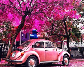 Алмазная мозаика на подрамнике 40х50 - Алмазная мозаика на подрамнике 40х50