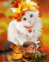 Осенний котик - Осенний котик